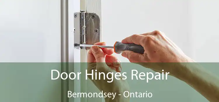 Door Hinges Repair Bermondsey - Ontario
