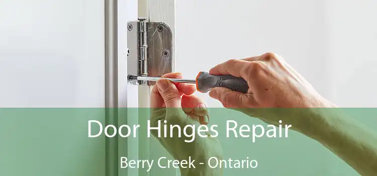 Door Hinges Repair Berry Creek - Ontario