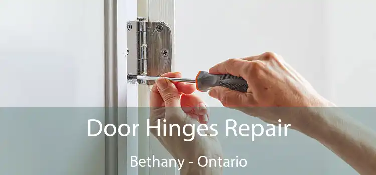 Door Hinges Repair Bethany - Ontario