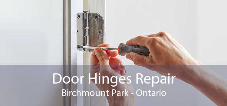 Door Hinges Repair Birchmount Park - Ontario