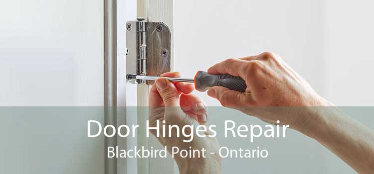 Door Hinges Repair Blackbird Point - Ontario