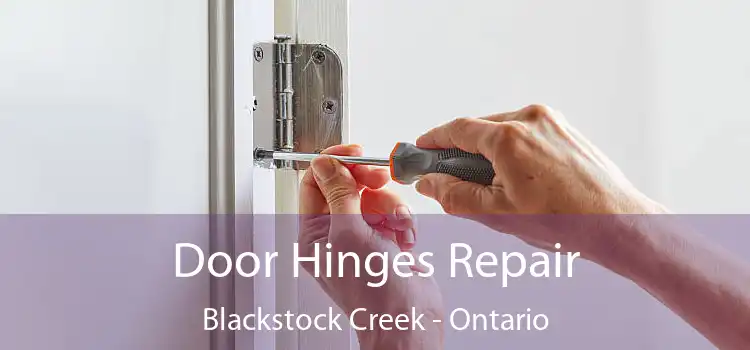 Door Hinges Repair Blackstock Creek - Ontario