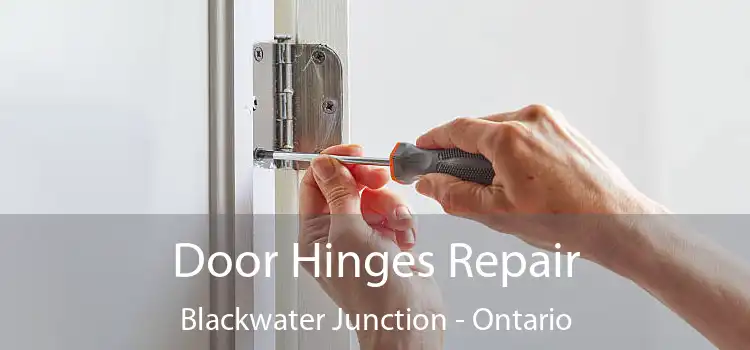 Door Hinges Repair Blackwater Junction - Ontario