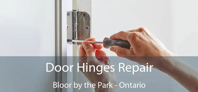 Door Hinges Repair Bloor by the Park - Ontario
