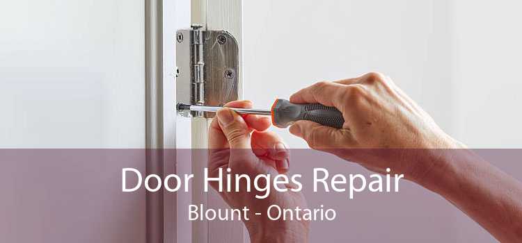 Door Hinges Repair Blount - Ontario