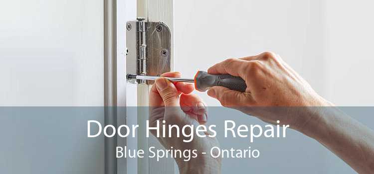 Door Hinges Repair Blue Springs - Ontario