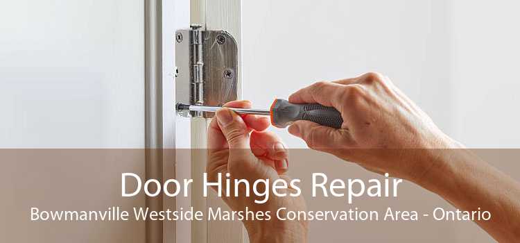 Door Hinges Repair Bowmanville Westside Marshes Conservation Area - Ontario