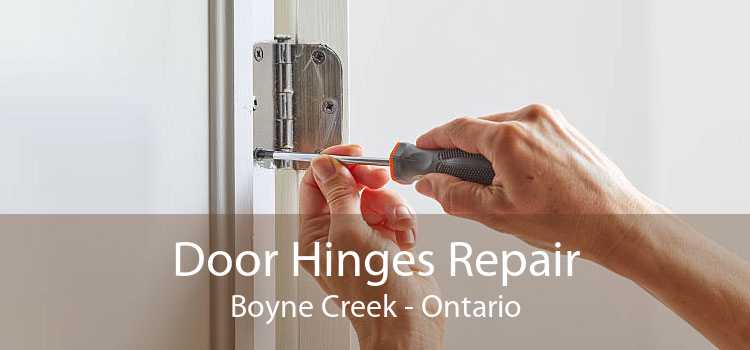 Door Hinges Repair Boyne Creek - Ontario