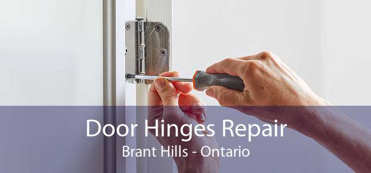 Door Hinges Repair Brant Hills - Ontario
