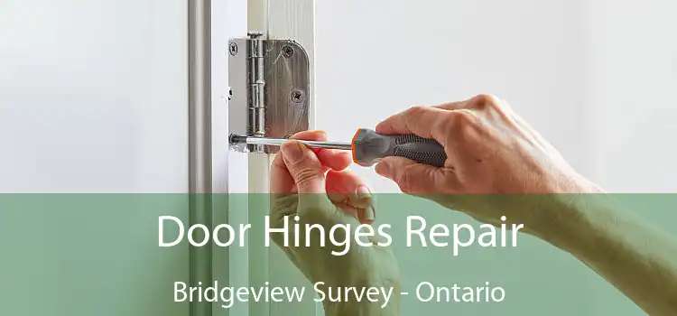 Door Hinges Repair Bridgeview Survey - Ontario
