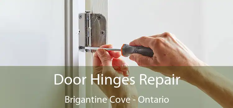 Door Hinges Repair Brigantine Cove - Ontario