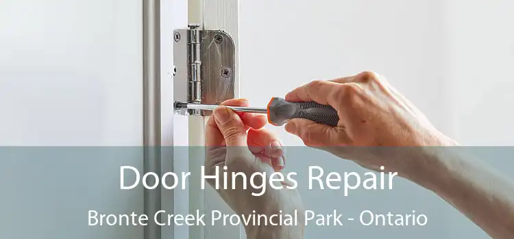 Door Hinges Repair Bronte Creek Provincial Park - Ontario