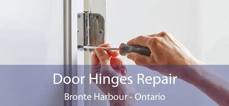 Door Hinges Repair Bronte Harbour - Ontario