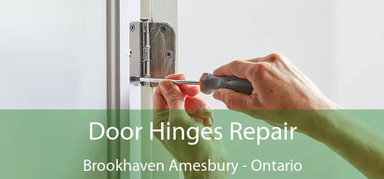 Door Hinges Repair Brookhaven Amesbury - Ontario