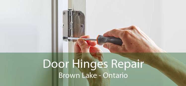 Door Hinges Repair Brown Lake - Ontario