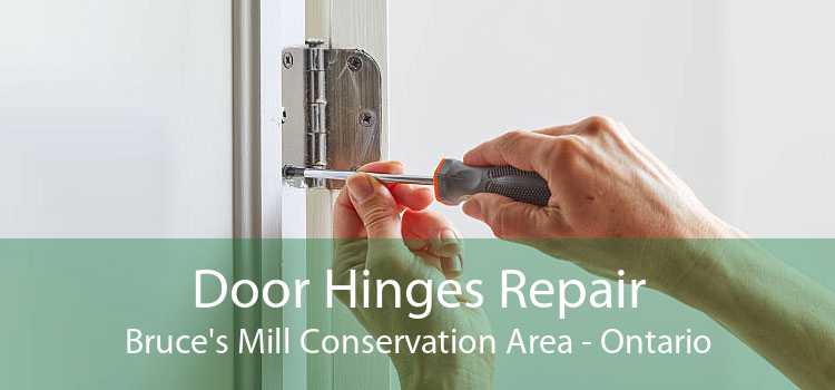 Door Hinges Repair Bruce's Mill Conservation Area - Ontario