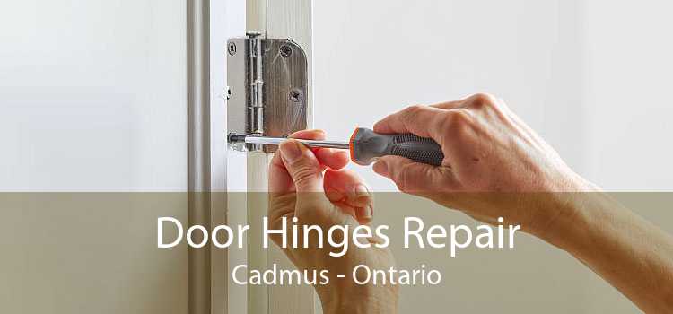 Door Hinges Repair Cadmus - Ontario