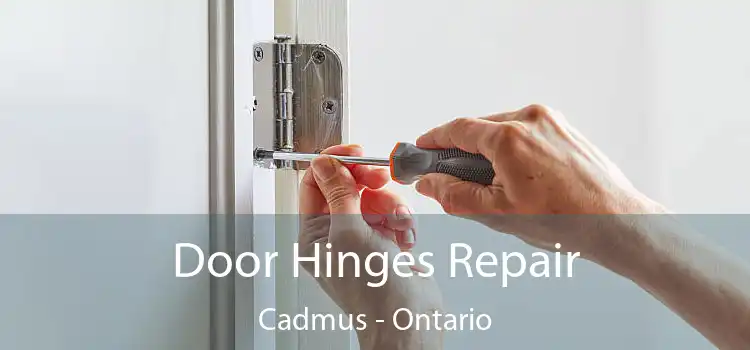Door Hinges Repair Cadmus - Ontario