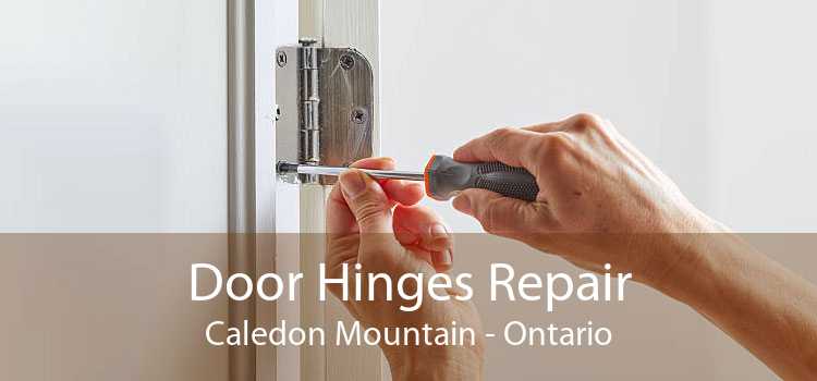 Door Hinges Repair Caledon Mountain - Ontario