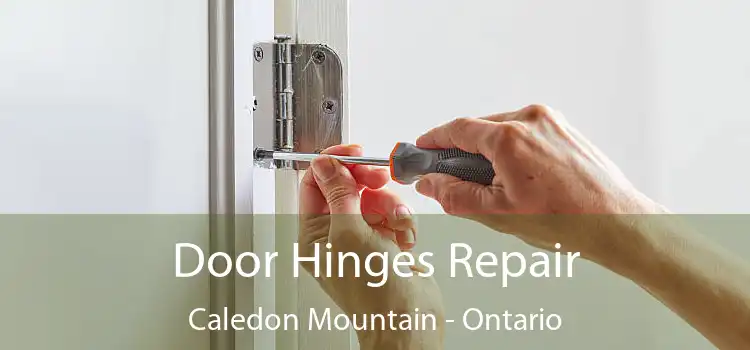 Door Hinges Repair Caledon Mountain - Ontario