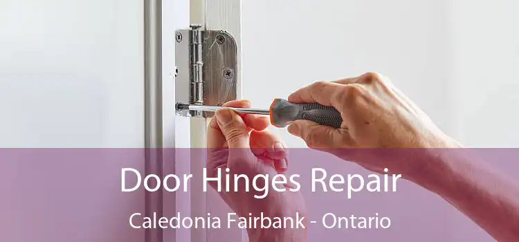 Door Hinges Repair Caledonia Fairbank - Ontario