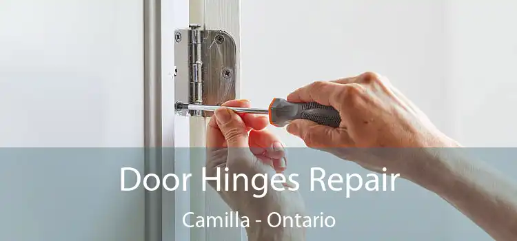 Door Hinges Repair Camilla - Ontario