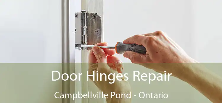 Door Hinges Repair Campbellville Pond - Ontario