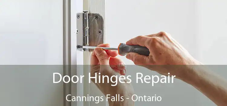 Door Hinges Repair Cannings Falls - Ontario