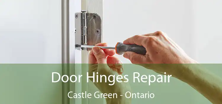 Door Hinges Repair Castle Green - Ontario