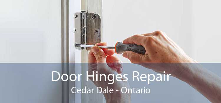 Door Hinges Repair Cedar Dale - Ontario