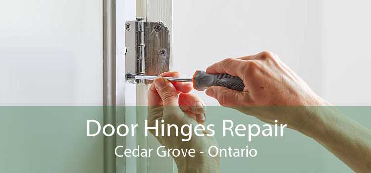 Door Hinges Repair Cedar Grove - Ontario