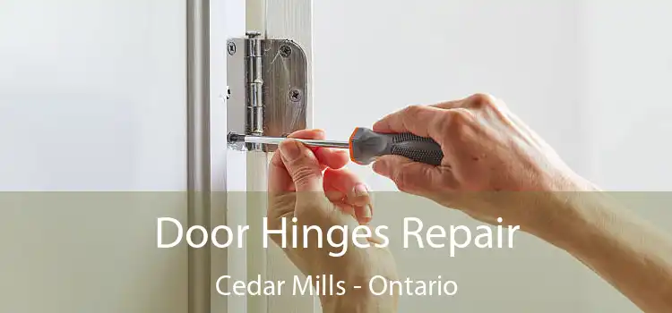 Door Hinges Repair Cedar Mills - Ontario