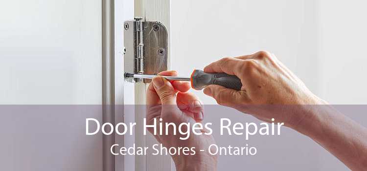 Door Hinges Repair Cedar Shores - Ontario