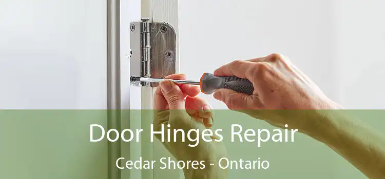 Door Hinges Repair Cedar Shores - Ontario