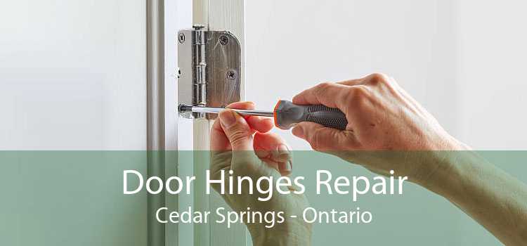 Door Hinges Repair Cedar Springs - Ontario
