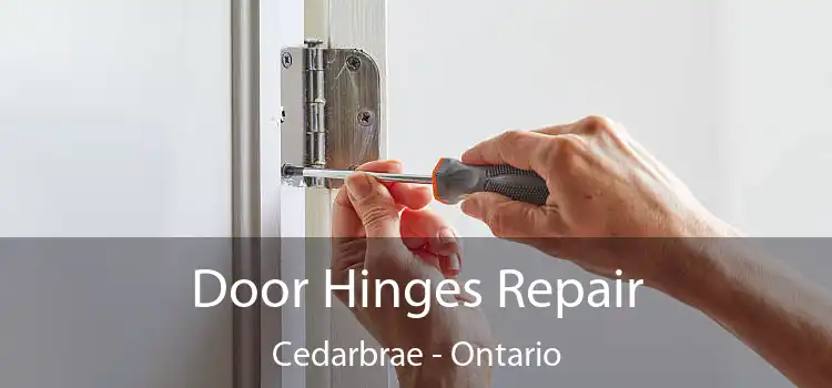 Door Hinges Repair Cedarbrae - Ontario