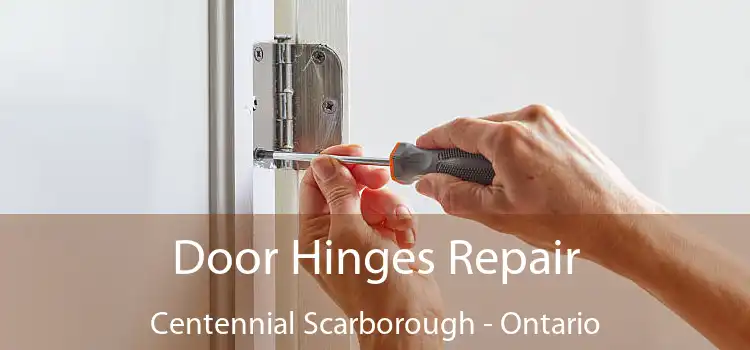 Door Hinges Repair Centennial Scarborough - Ontario