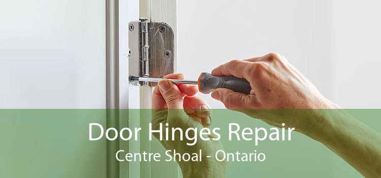 Door Hinges Repair Centre Shoal - Ontario