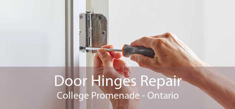 Door Hinges Repair College Promenade - Ontario