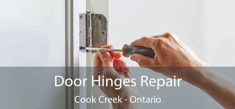 Door Hinges Repair Cook Creek - Ontario