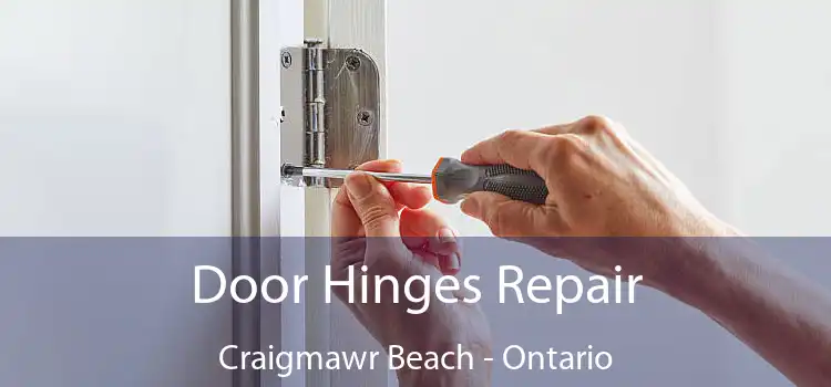 Door Hinges Repair Craigmawr Beach - Ontario