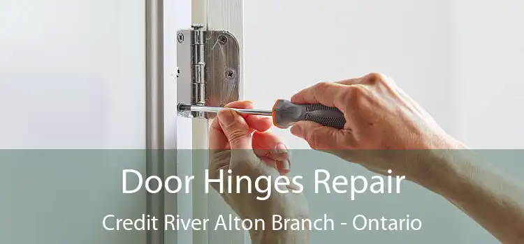 Door Hinges Repair Credit River Alton Branch - Ontario