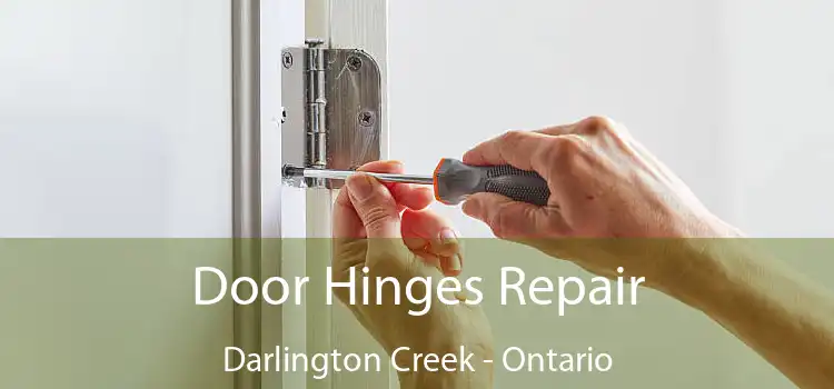 Door Hinges Repair Darlington Creek - Ontario