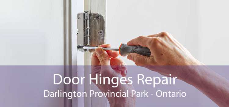 Door Hinges Repair Darlington Provincial Park - Ontario