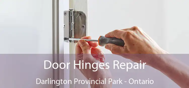Door Hinges Repair Darlington Provincial Park - Ontario