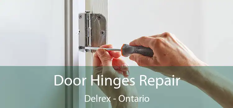 Door Hinges Repair Delrex - Ontario