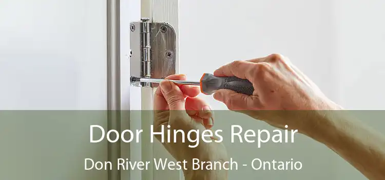 Door Hinges Repair Don River West Branch - Ontario