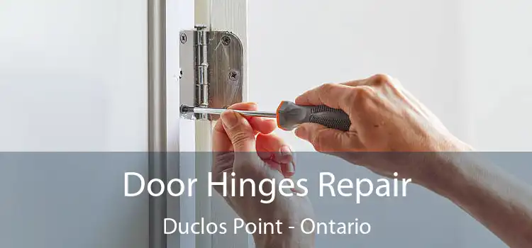 Door Hinges Repair Duclos Point - Ontario