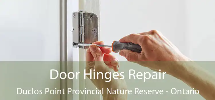 Door Hinges Repair Duclos Point Provincial Nature Reserve - Ontario