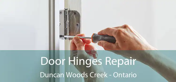 Door Hinges Repair Duncan Woods Creek - Ontario